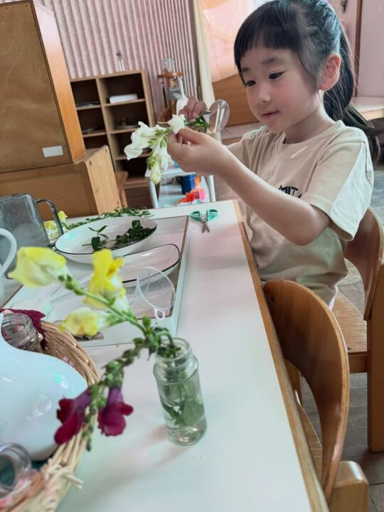 お花を持ってきてくれました|三田保育園 お花を持ってきてくれました|三田保育園