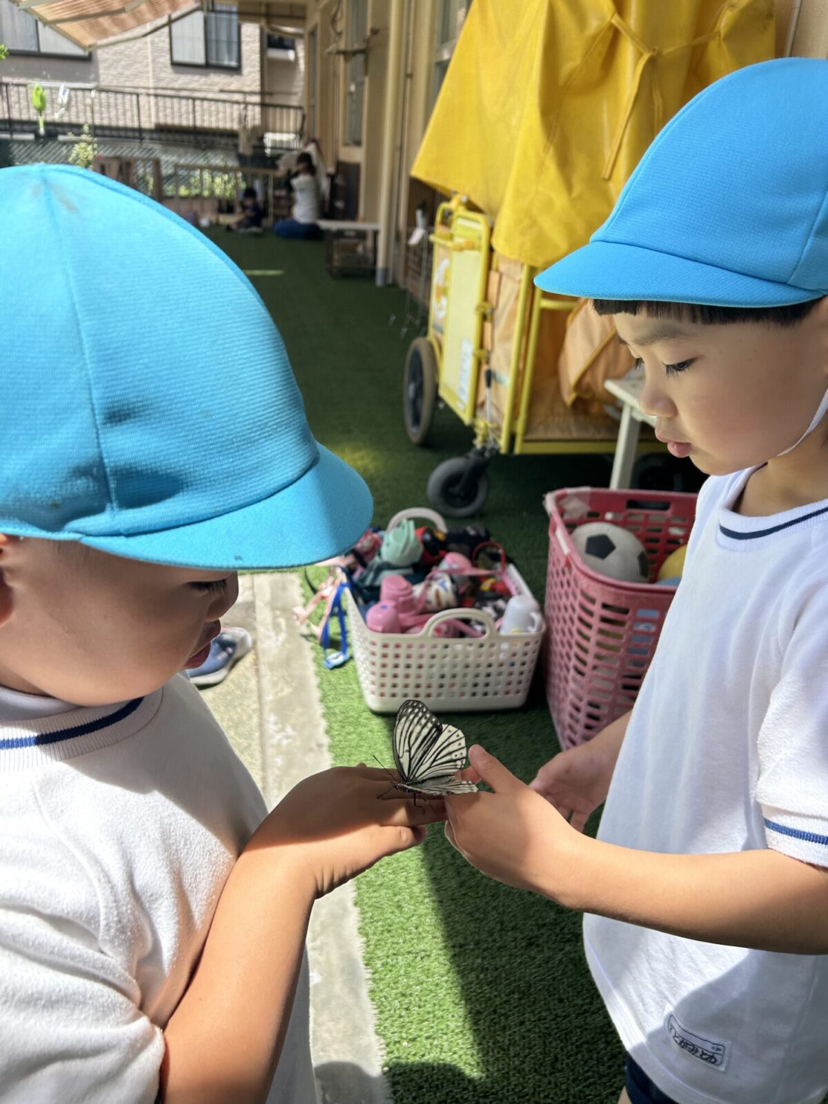 １日の流れ